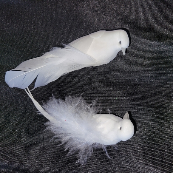 22 White Real Feather Birds Bird Doves with clip - Picture 2 of 6